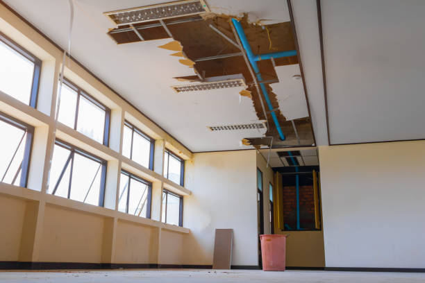 Best Basement water damage restoration  in Dayton, TN