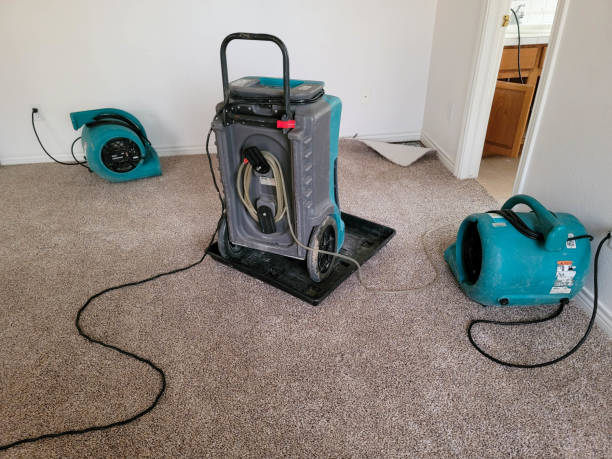 Best Mold removal after water damage  in Dayton, TN