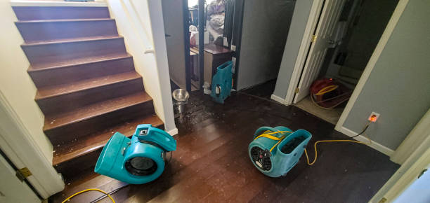 Best Water damage restoration experts  in Dayton, TN