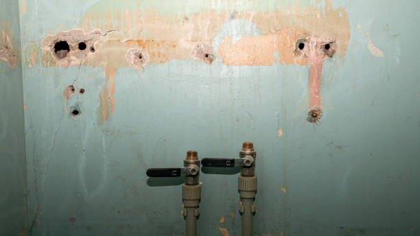 Best Local water damage restoration  in Dayton, TN