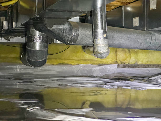 Best Sewage cleanup and water damage restoration  in Dayton, TN