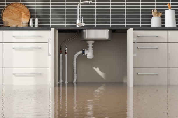 Best Flood restoration services  in Dayton, TN