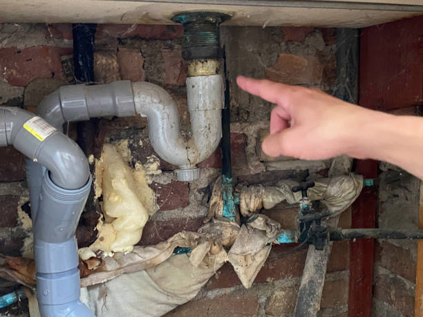 Best Flood damage cleanup  in Dayton, TN