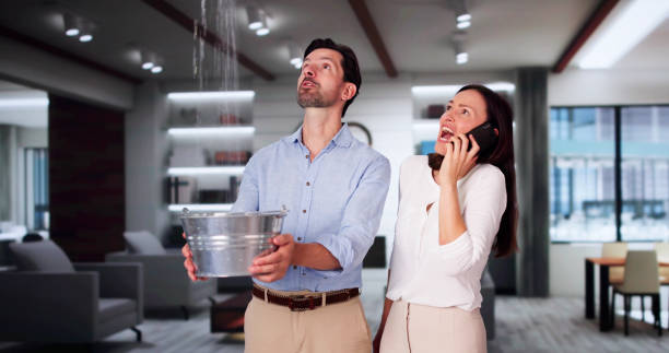 Best Professional water damage repair  in Dayton, TN