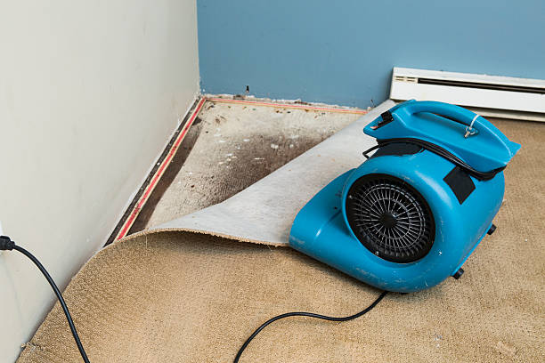 Water damage restoration experts in TN
